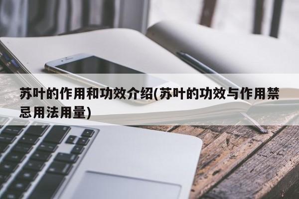 苏叶的作用和功效介绍(苏叶的功效与作用禁忌用法用量)