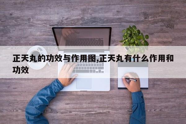 正天丸的功效与作用图,正天丸有什么作用和功效