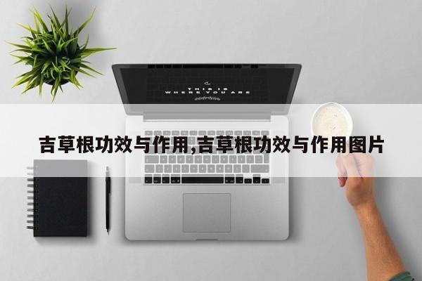 吉草根功效与作用,吉草根功效与作用图片 第1张