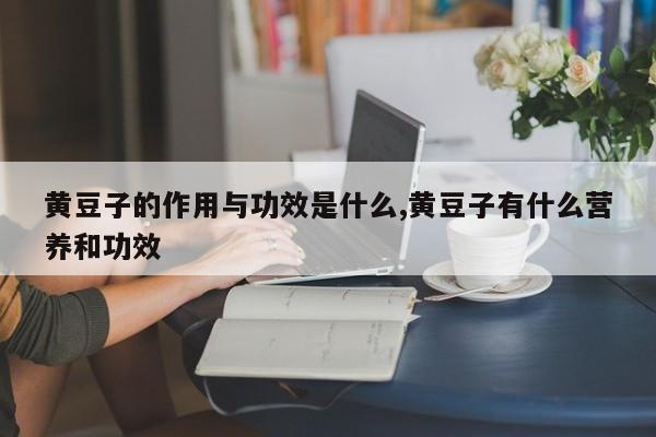 黄豆子的作用与功效是什么,黄豆子有什么营养和功效