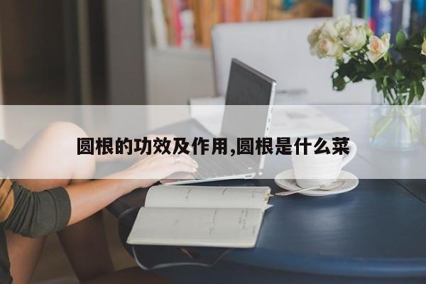 圆根的功效及作用,圆根是什么菜