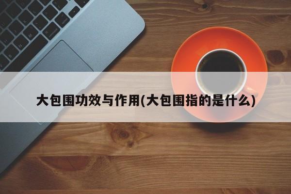 大包围功效与作用(大包围指的是什么)