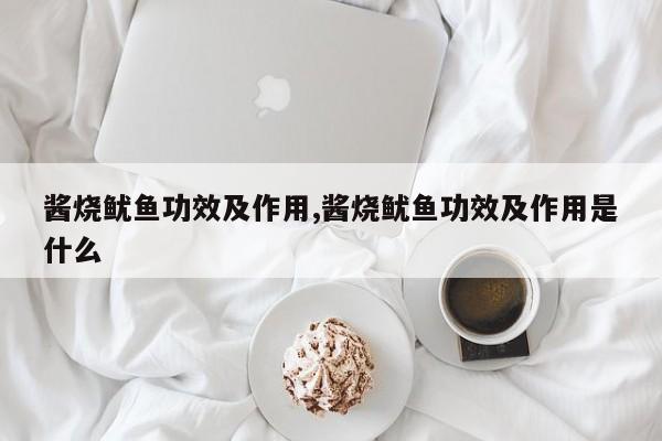 酱烧鱿鱼功效及作用,酱烧鱿鱼功效及作用是什么