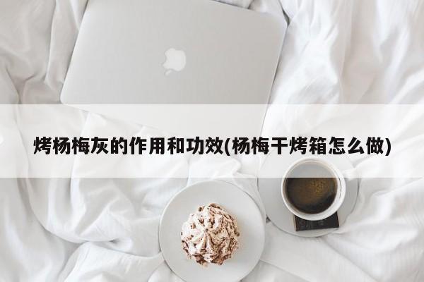 烤杨梅灰的作用和功效(杨梅干烤箱怎么做)