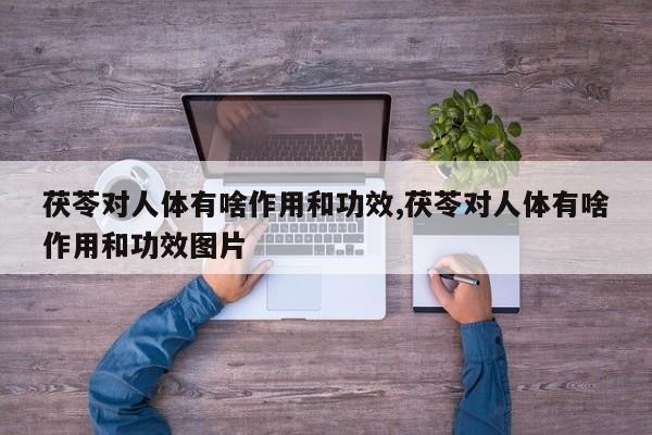 茯苓对人体有啥作用和功效,茯苓对人体有啥作用和功效图片 第1张