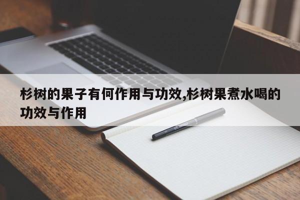 杉树的果子有何作用与功效,杉树果煮水喝的功效与作用 第1张