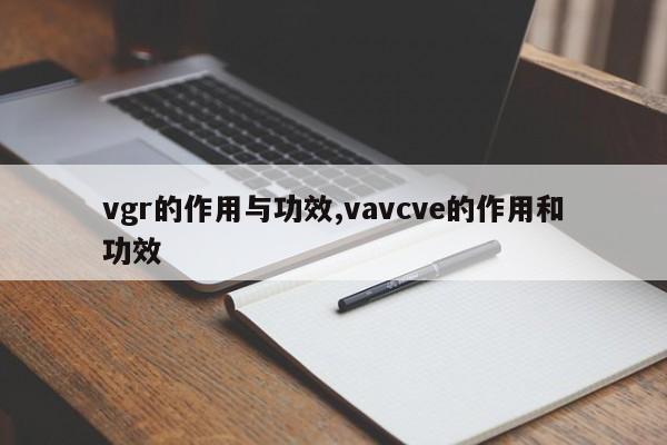 vgr的作用与功效,vavcve的作用和功效 第1张