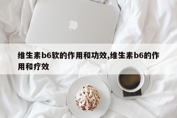 维生素b6软的作用和功效,维生素b6的作用和疗效 第1张