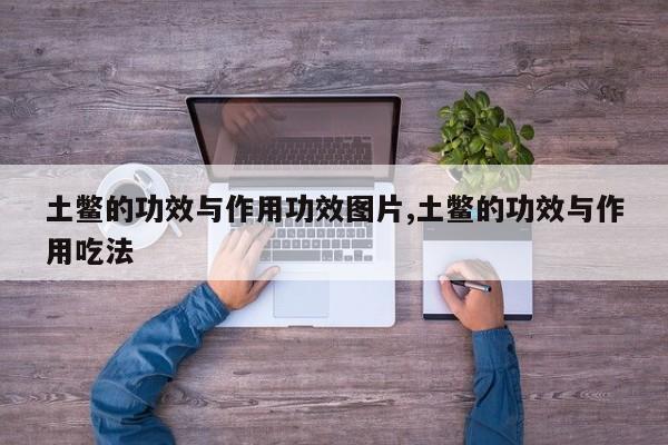 土鳖的功效与作用功效图片,土鳖的功效与作用吃法 第1张