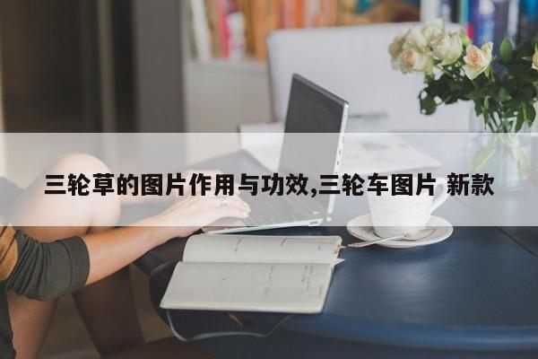 三轮草的图片作用与功效,三轮车图片 新款